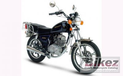 2010 Giantco Bronco 125 photo